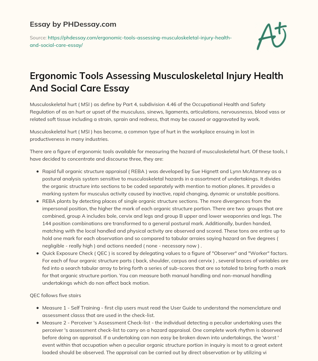 Ergonomic Tools Assessing Musculoskeletal Injury Health And Social Care Essay essay