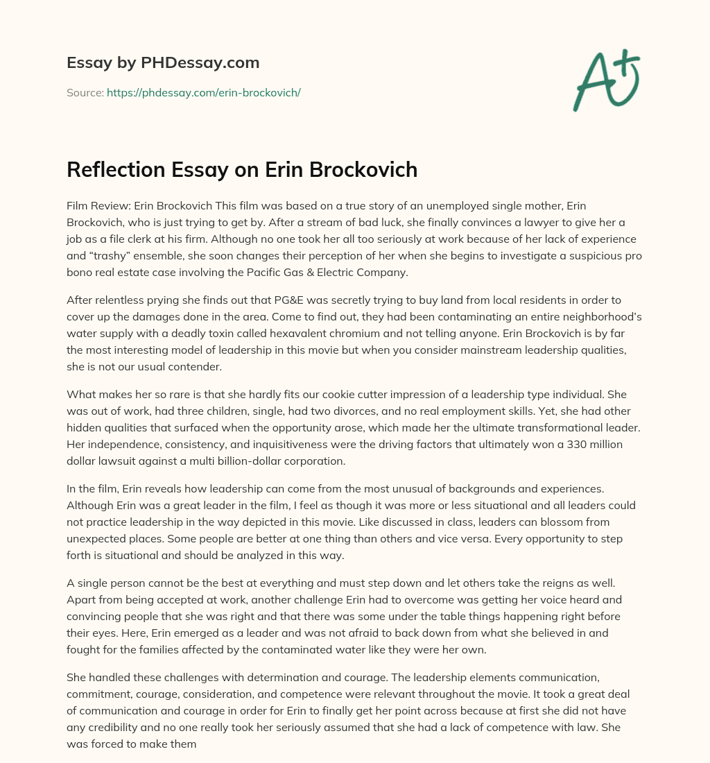 Reflection Essay on Erin Brockovich essay