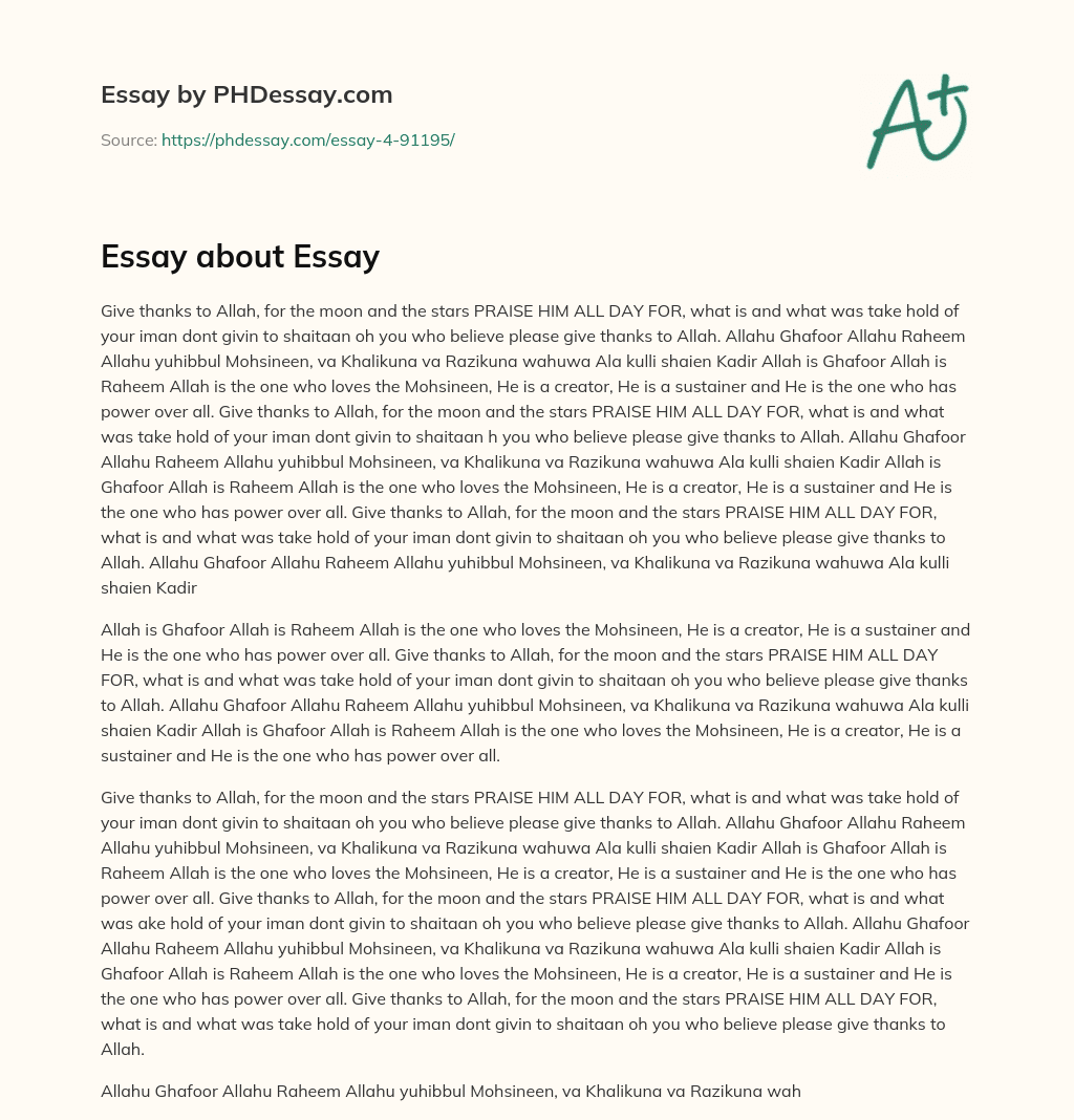 Essay about Essay essay