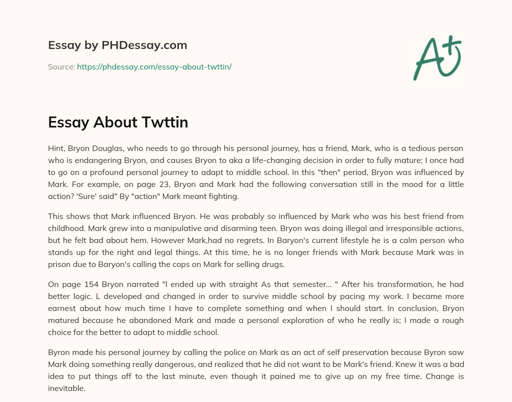 Essay About Twttin essay