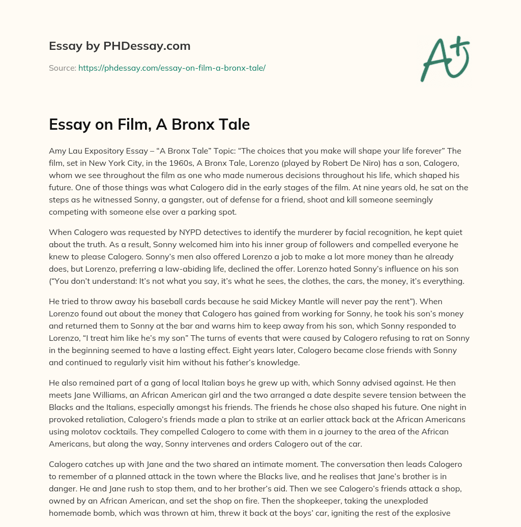 Essay on Film, A Bronx Tale essay