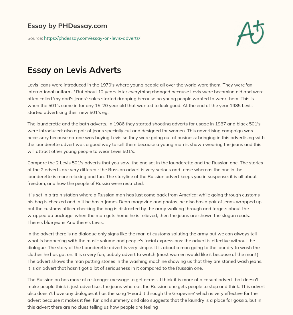 Essay on Levis Adverts essay