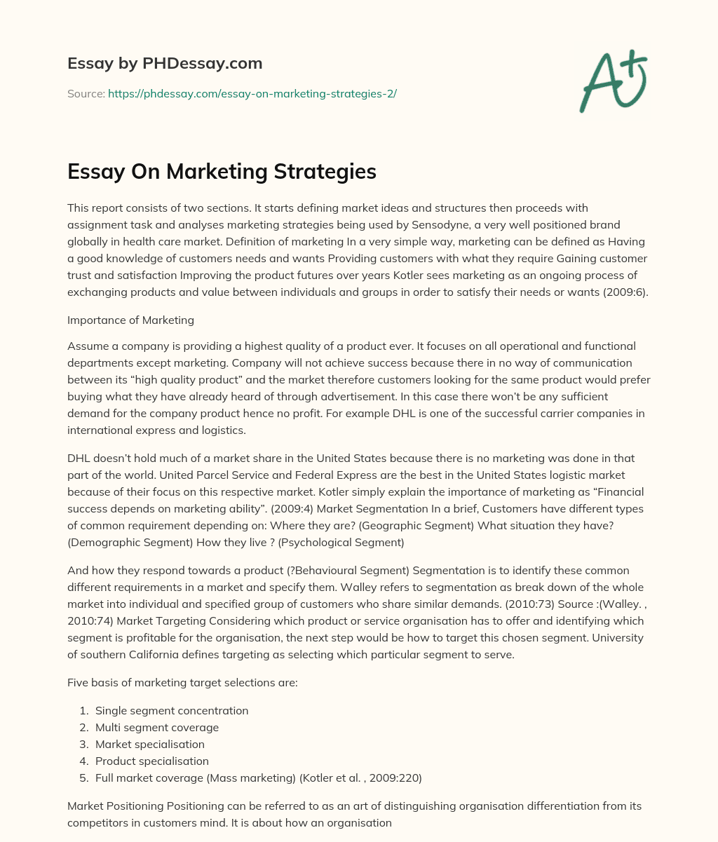 Essay On Marketing Strategies essay