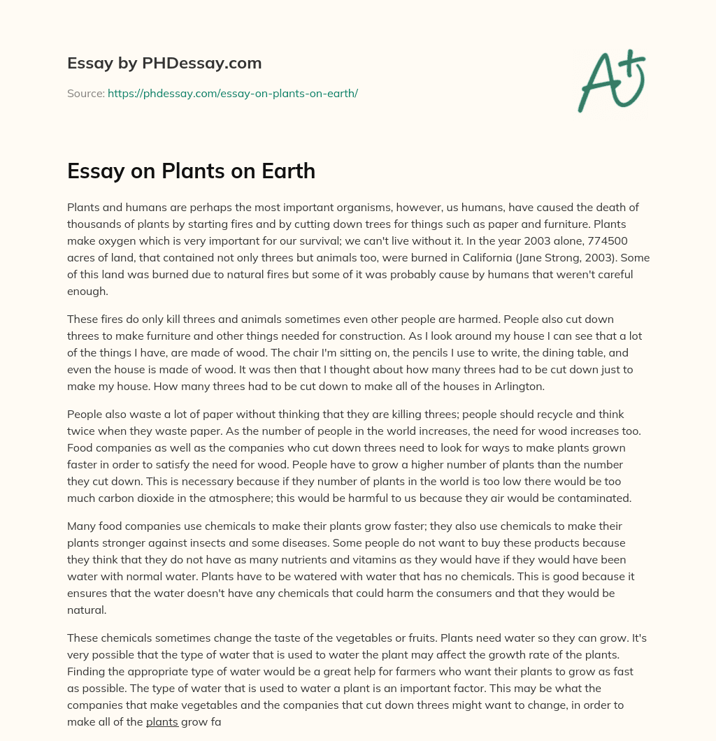 Essay on Plants on Earth essay