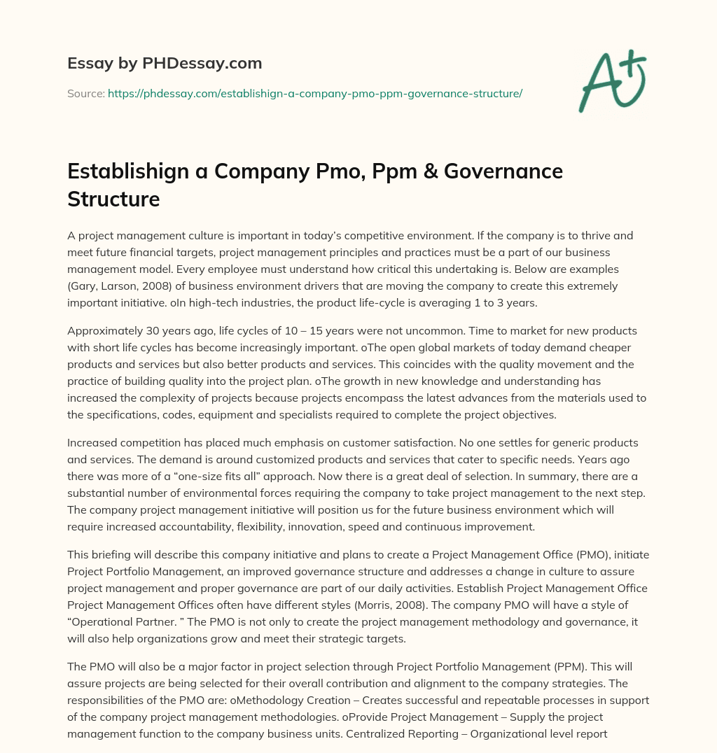 Establishign a Company Pmo, Ppm & Governance Structure essay