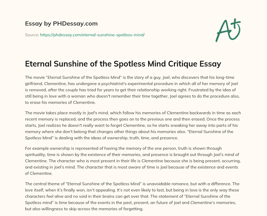 Eternal Sunshine of the Spotless Mind Critique Essay essay