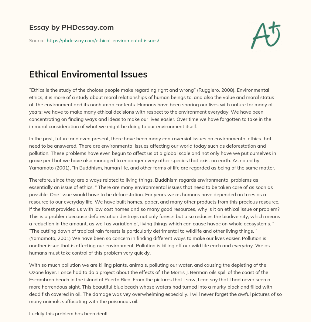 Ethical Enviromental Issues essay
