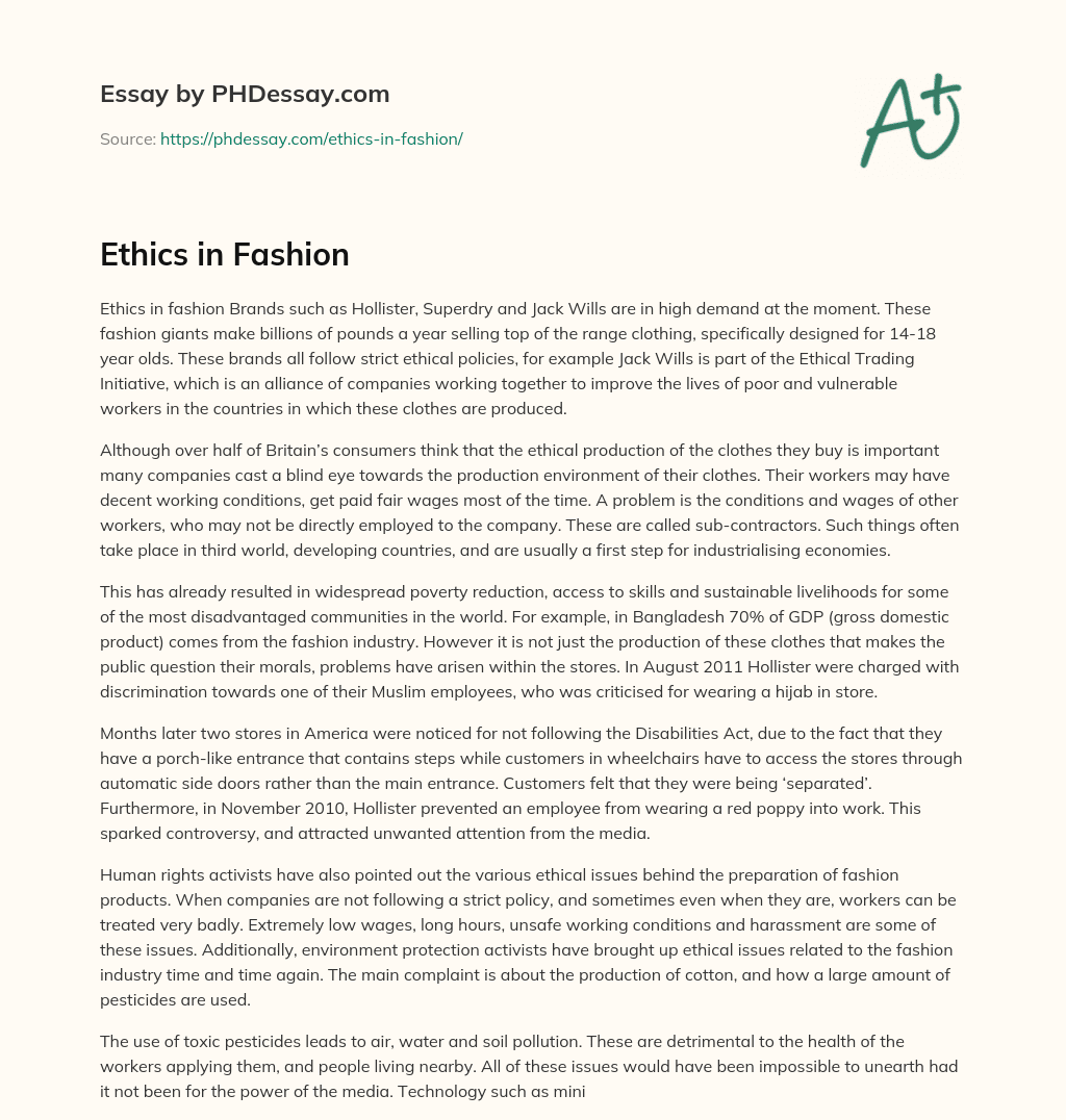 Ethics in Fashion essay