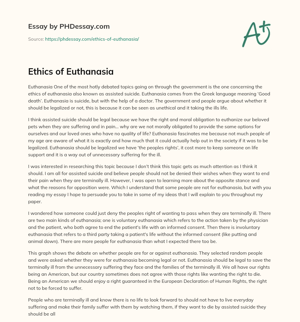 Ethics of Euthanasia essay