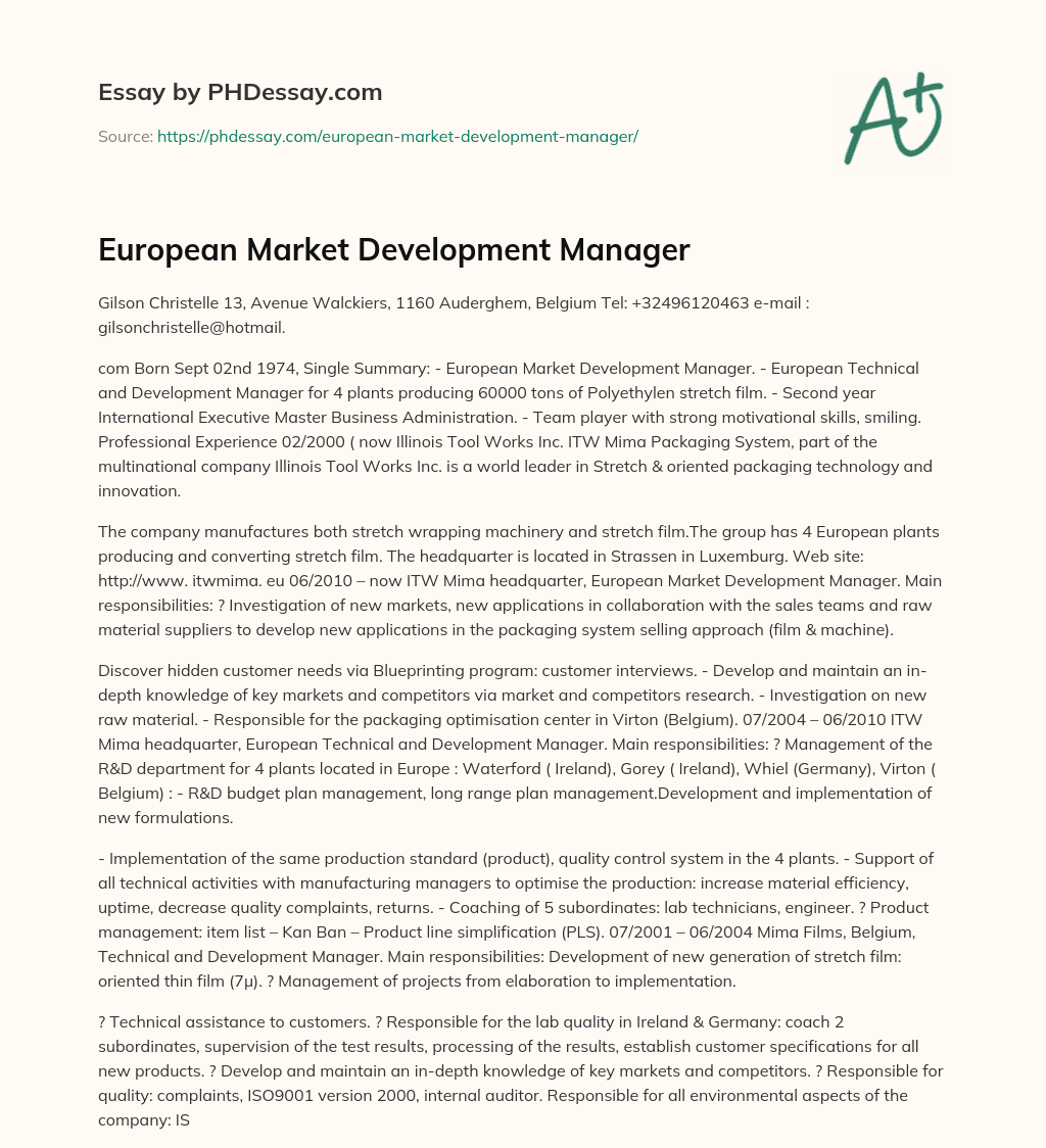 European Market Development Manager essay
