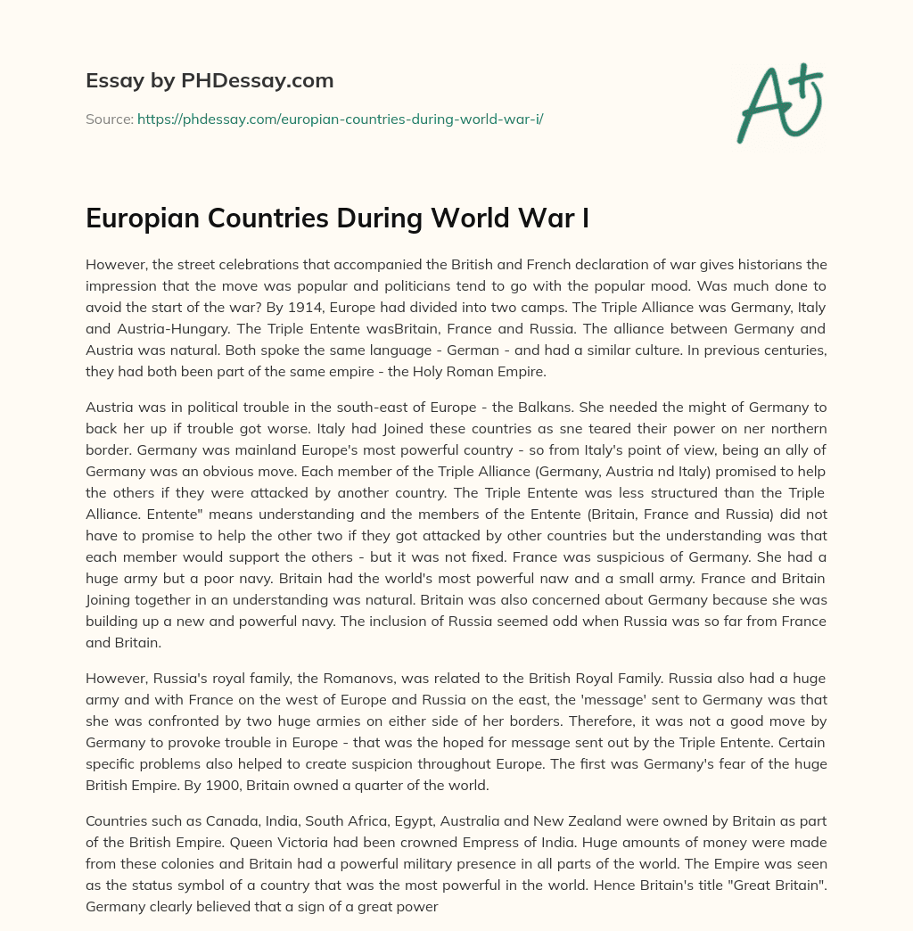 Europian Countries During World War I essay