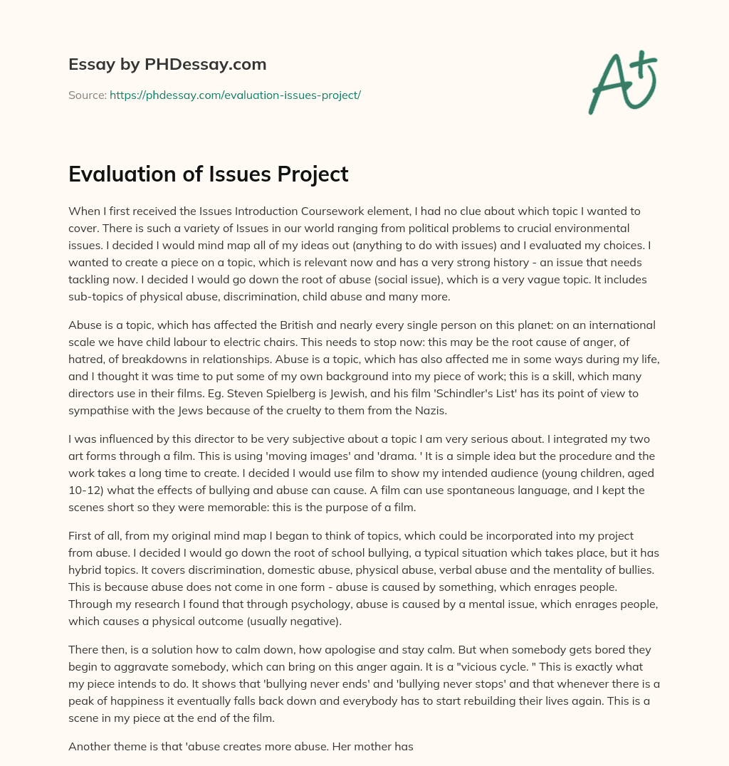 Evaluation of Issues Project essay