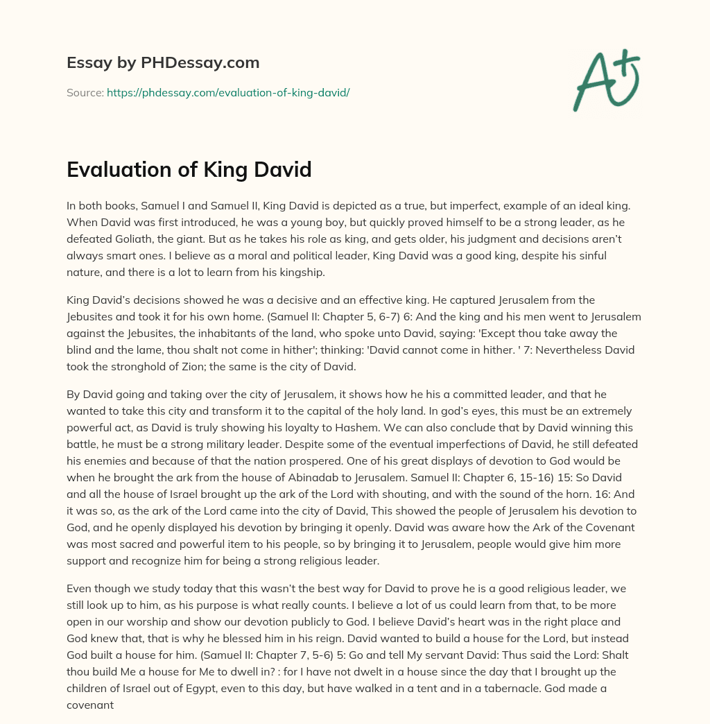 Evaluation of King David essay