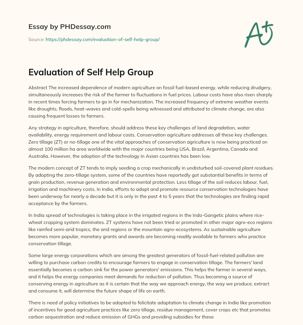 Evaluation of Self Help Group essay