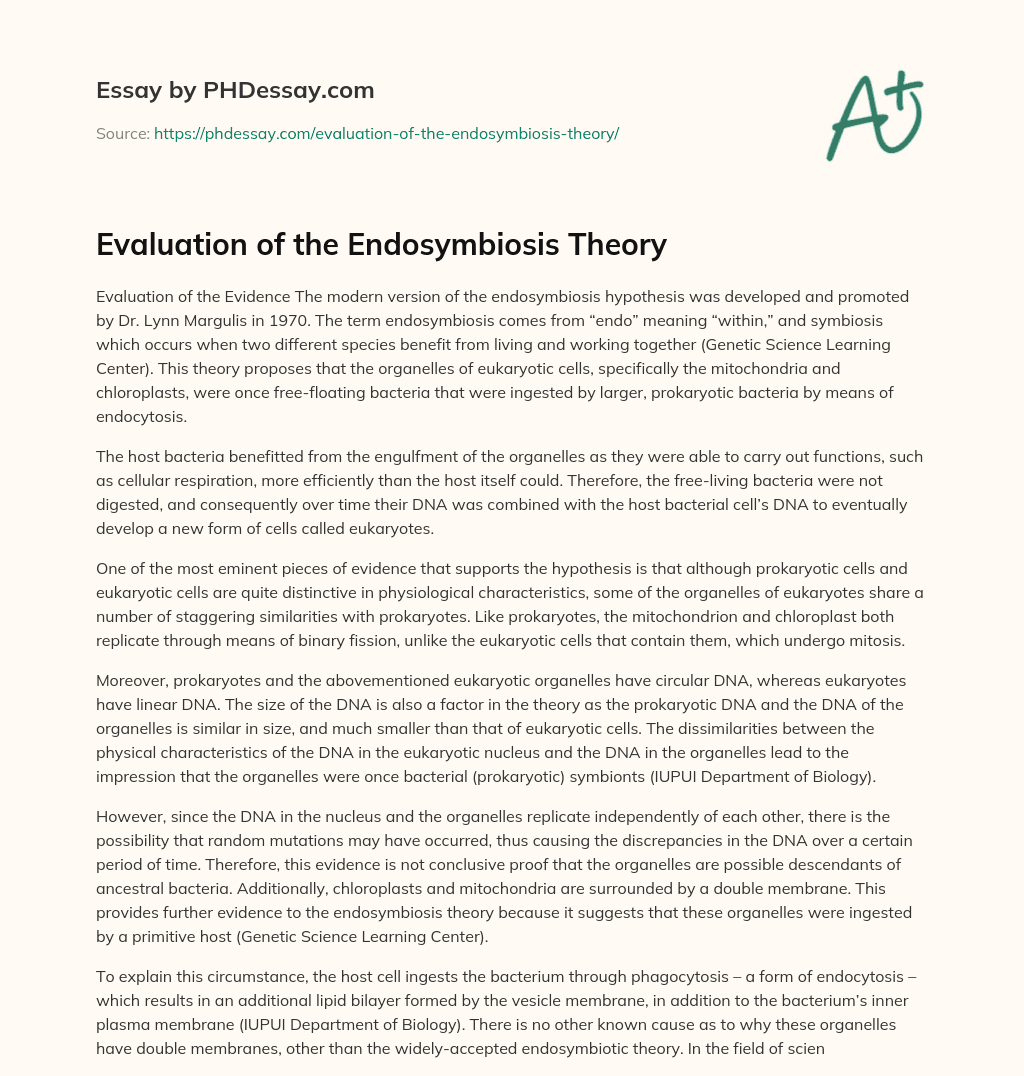 Evaluation of the Endosymbiosis Theory essay