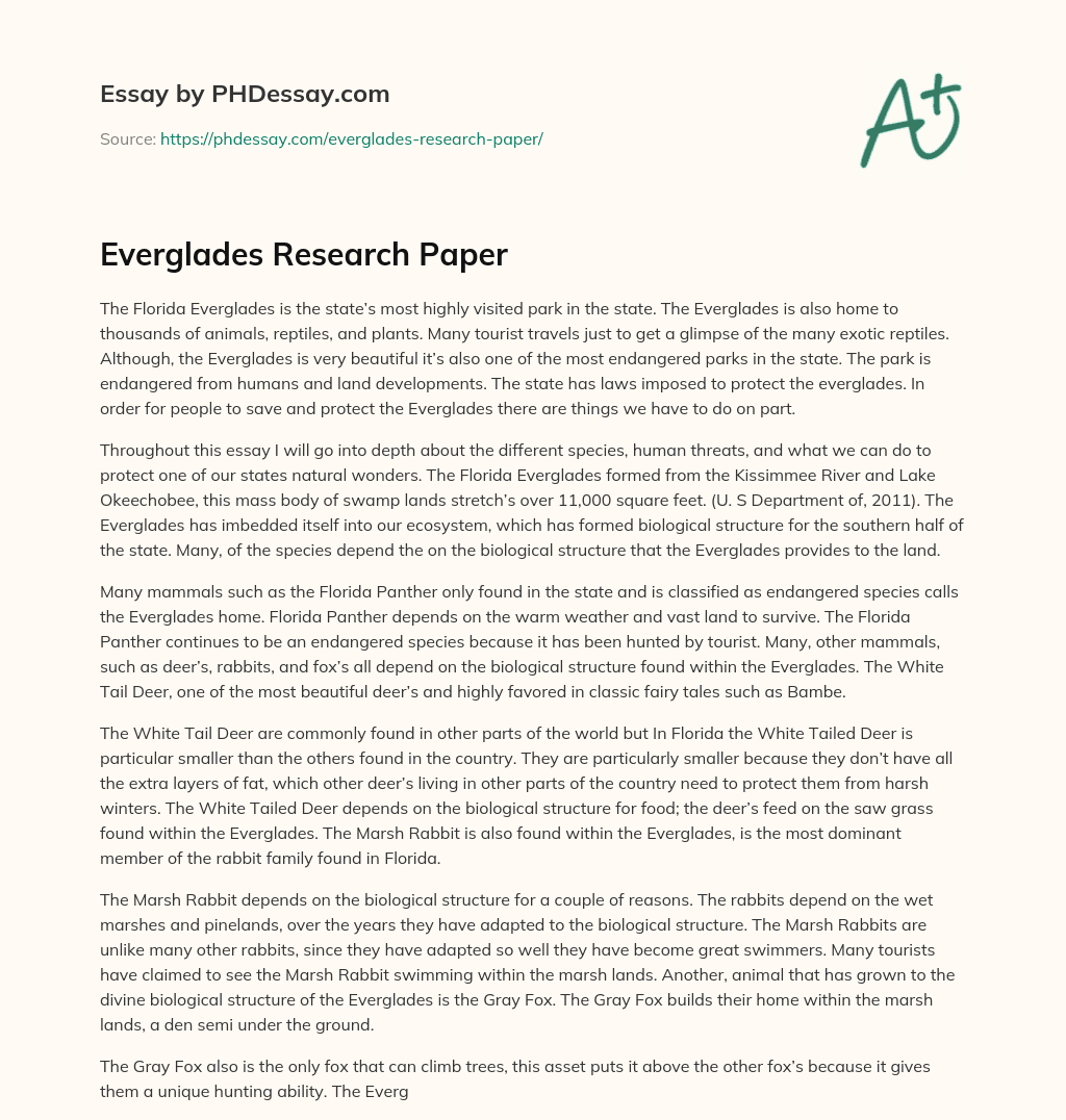 Everglades Research Paper essay