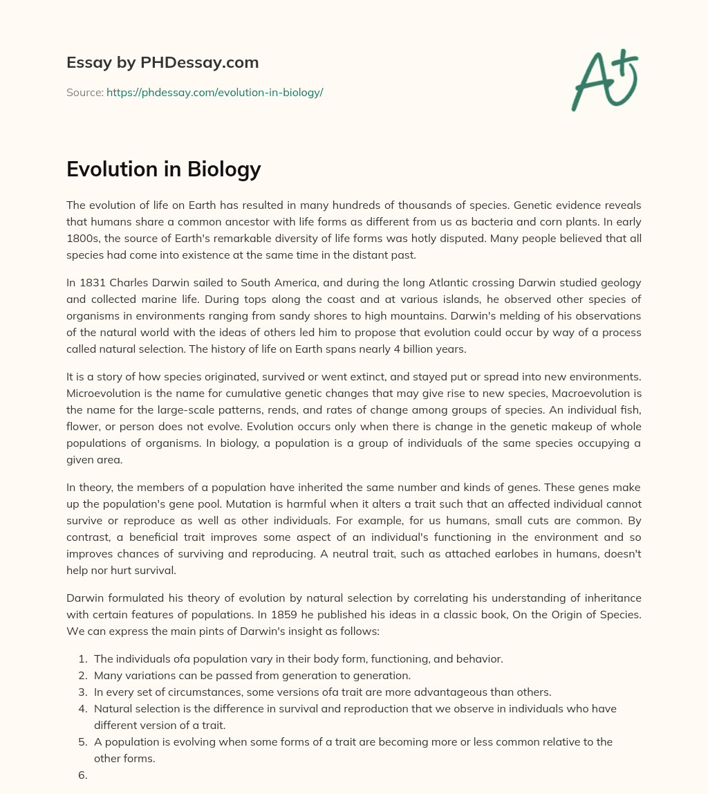 biology essay on evolution