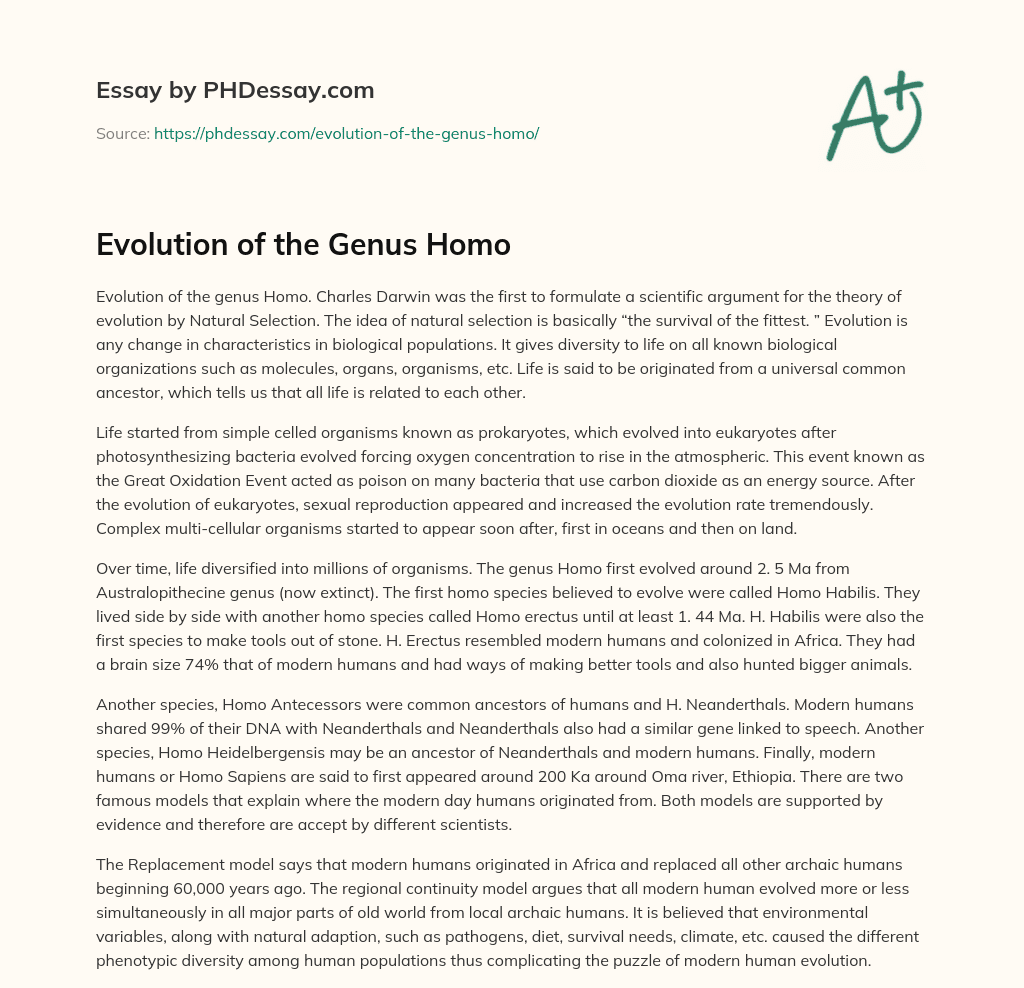 Evolution of the Genus Homo essay