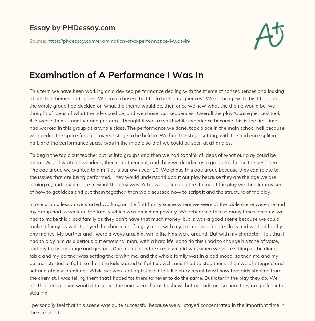 Examination of A Performance I Was In essay