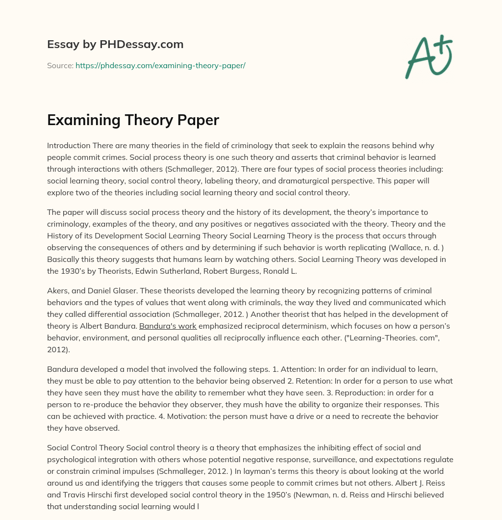 Examining Theory Paper essay