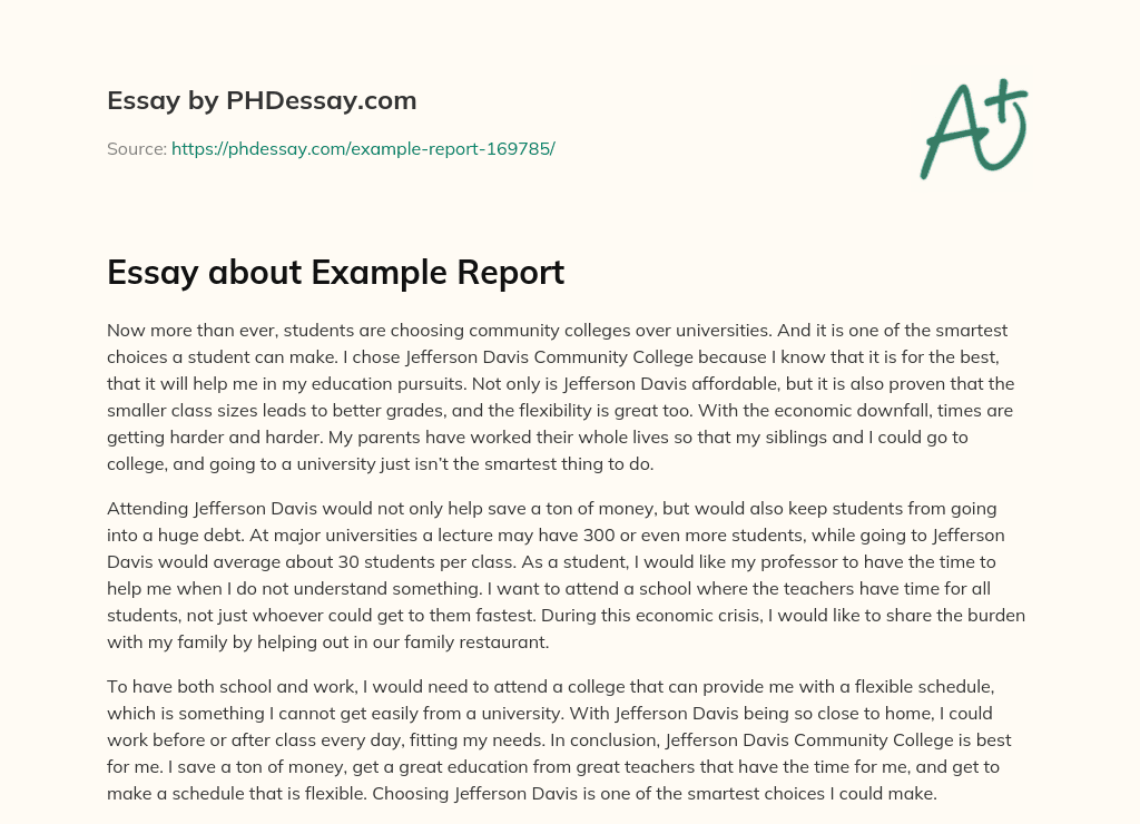 Essay about Example Report essay
