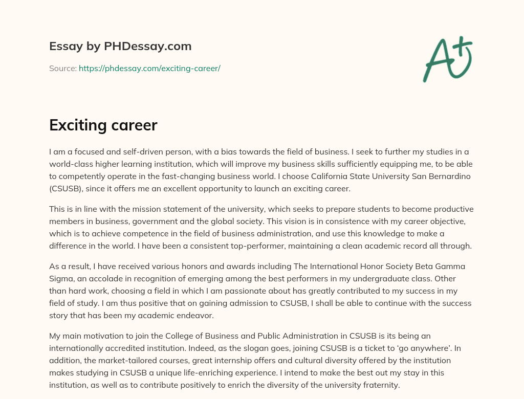 Exciting career essay