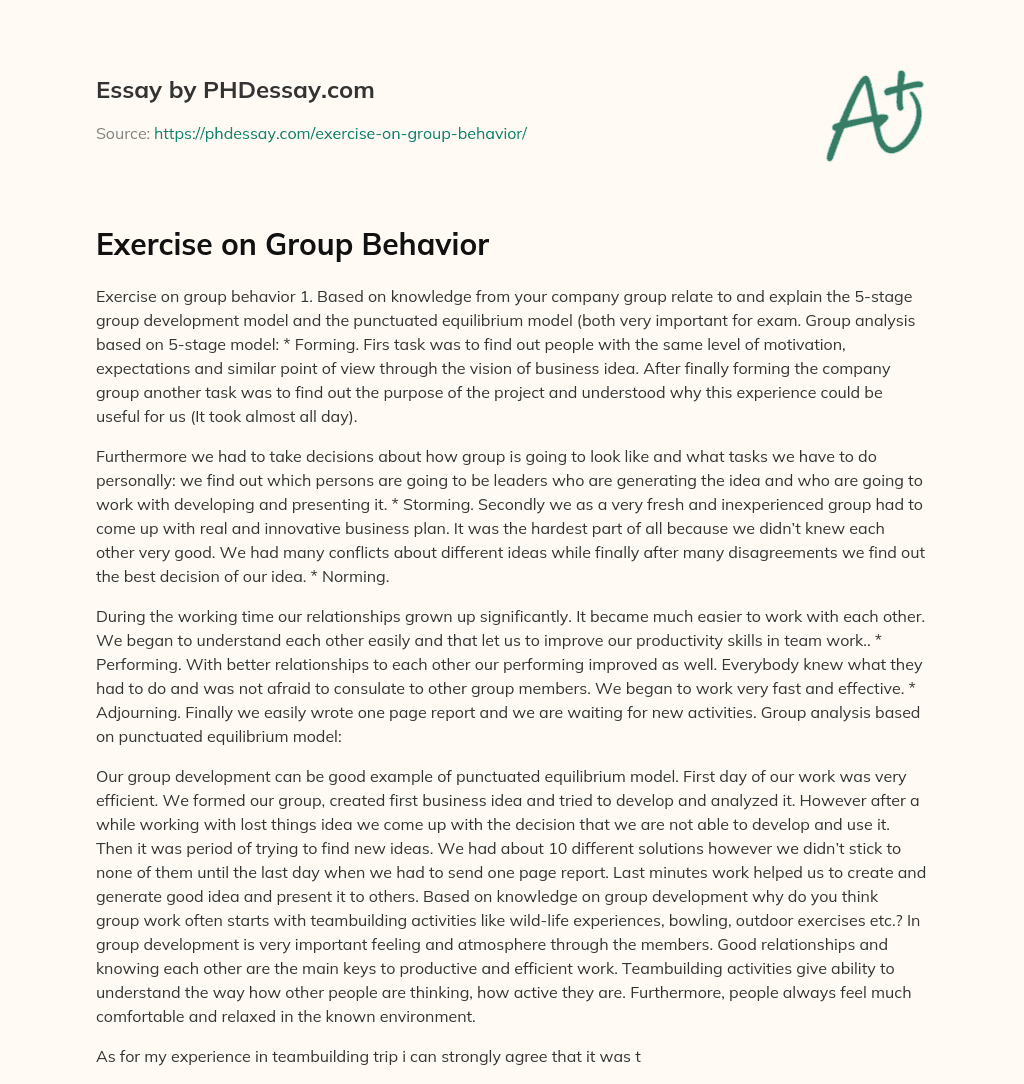 Exercise on Group Behavior essay