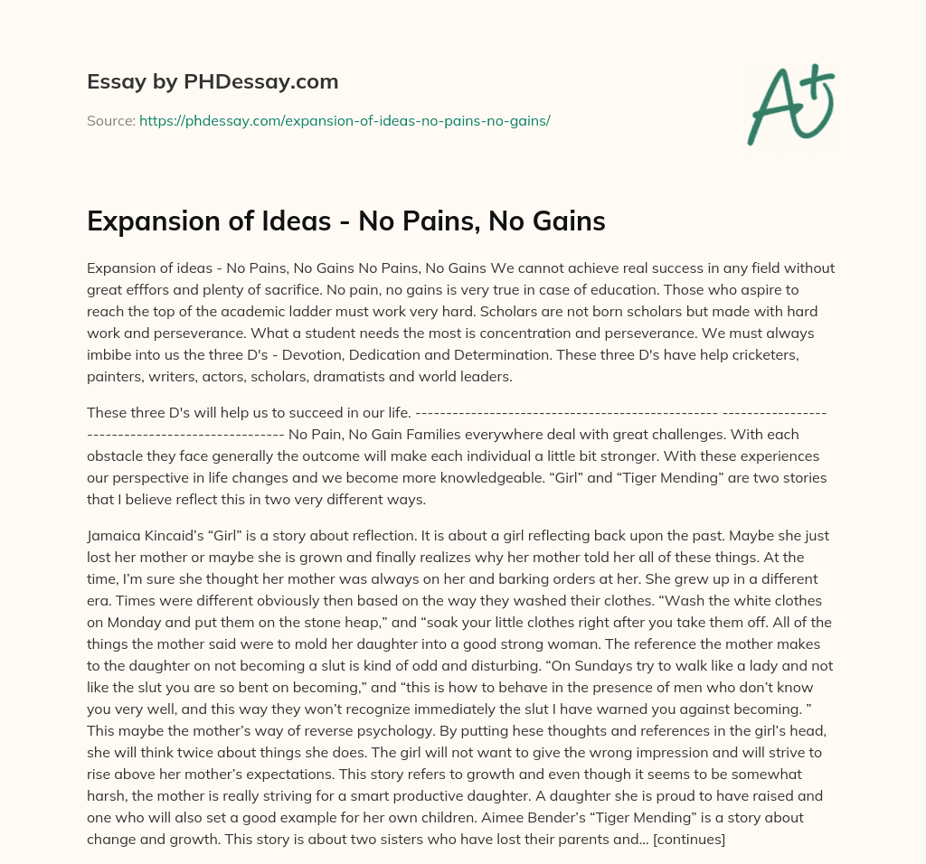 expansion-of-ideas-no-pains-no-gains-essay-example-500-words