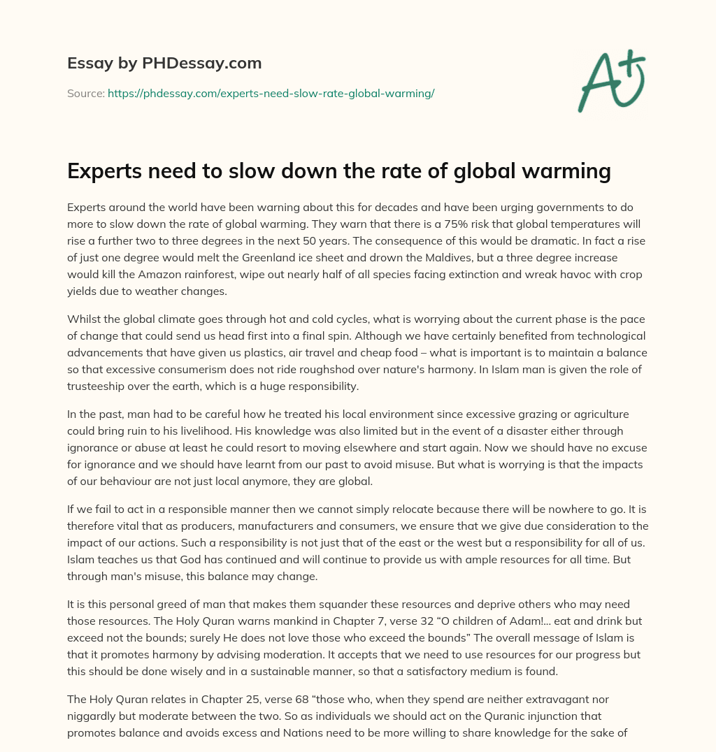 Experts need to slow down the rate of global warming essay