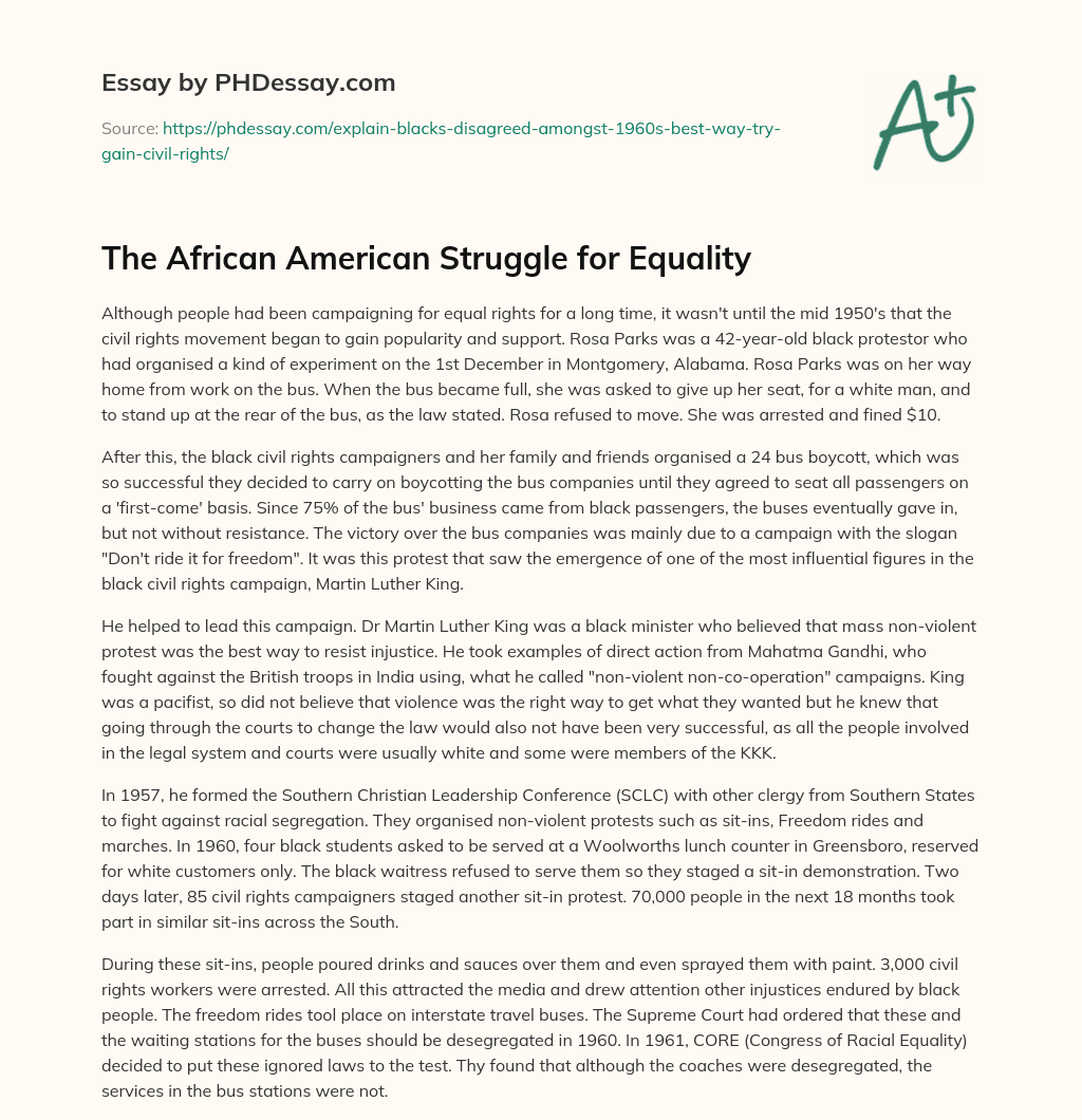 The African American Struggle for Equality essay