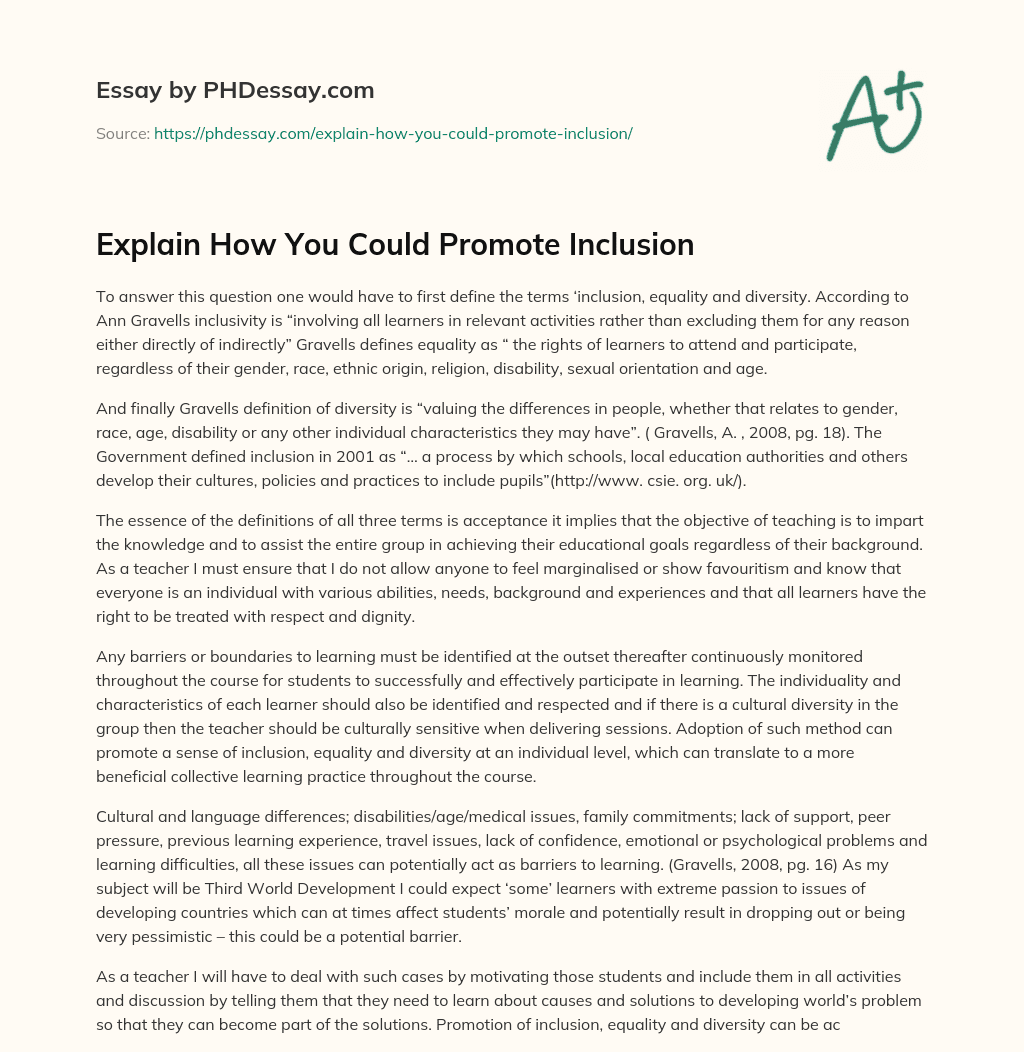 Explain How You Could Promote Inclusion essay