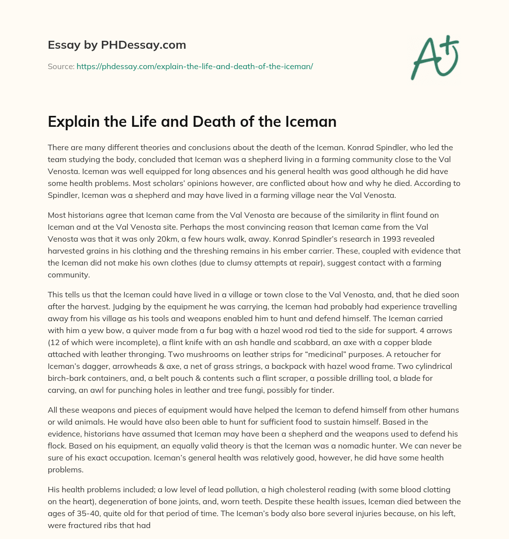Explain the Life and Death of the Iceman essay