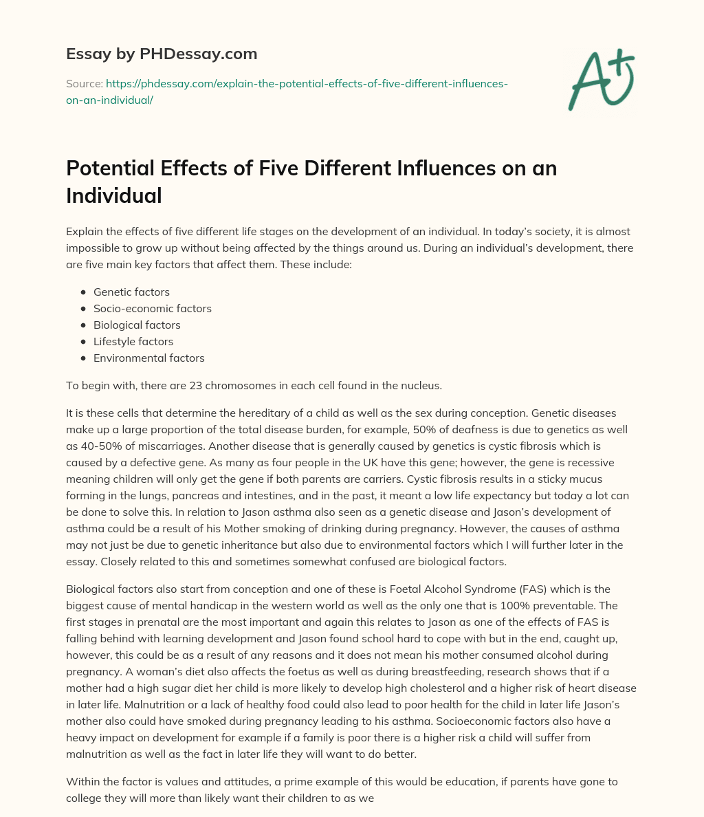 Potential Effects of Five Different Influences on an Individual essay