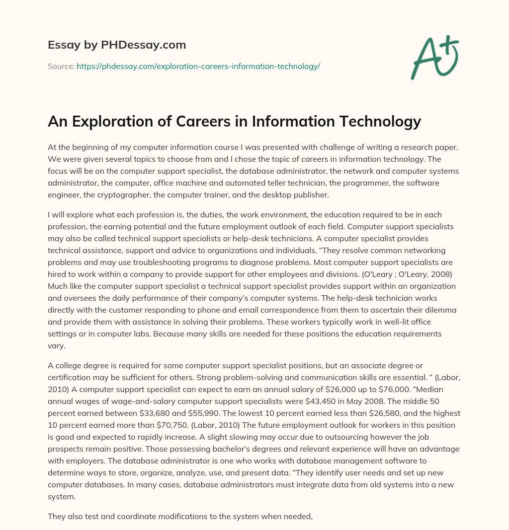 An Exploration of Careers in Information Technology essay