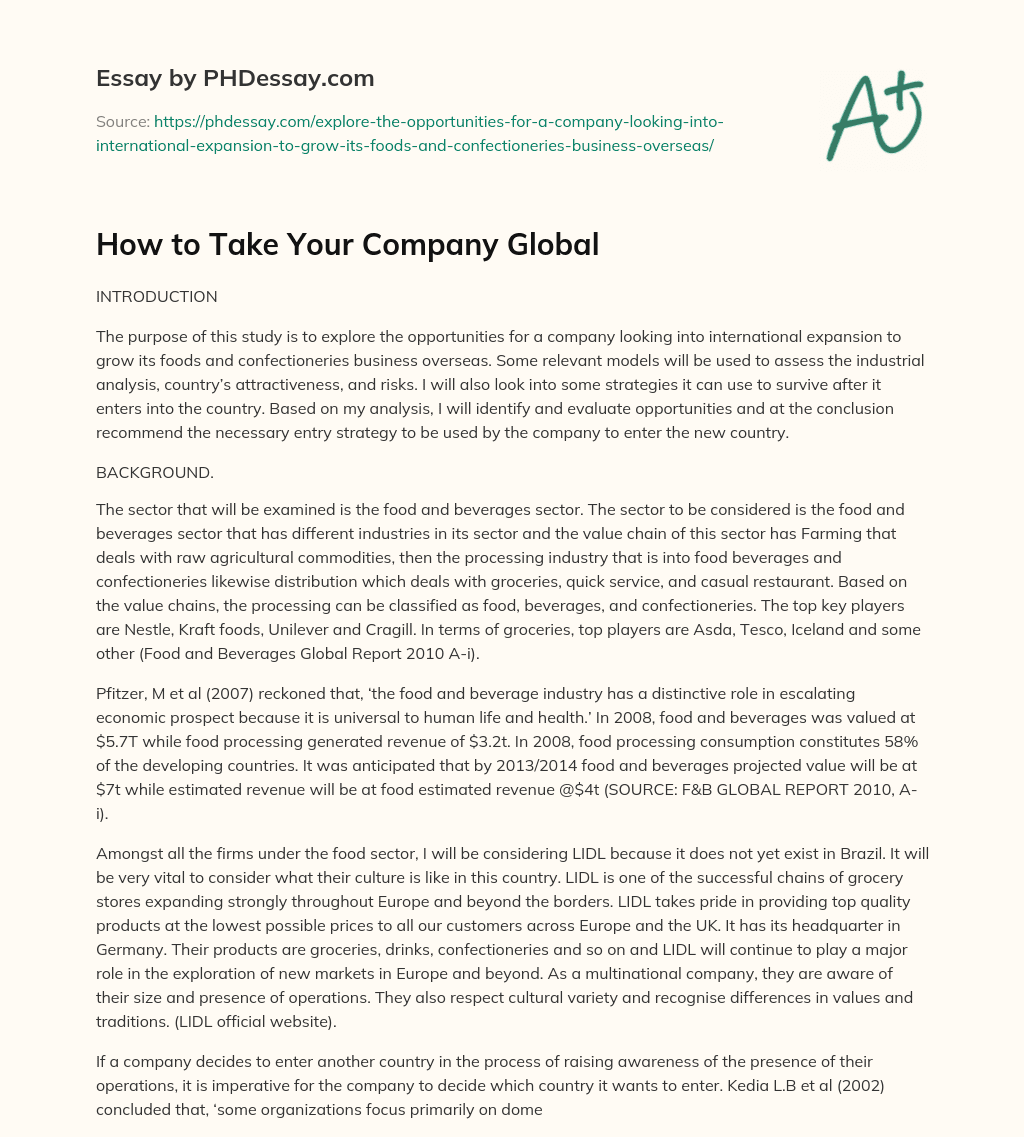 How to Take Your Company Global essay