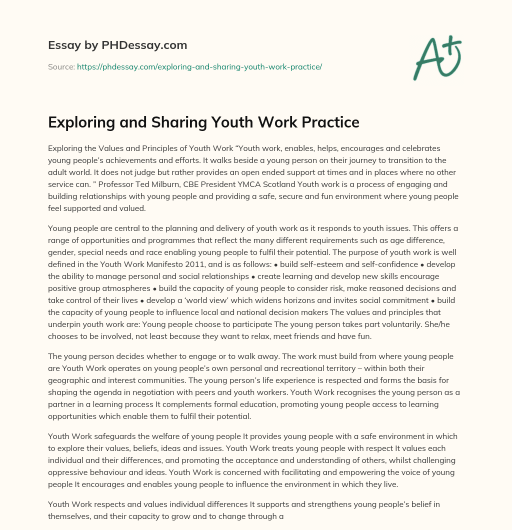 Exploring and Sharing Youth Work Practice essay