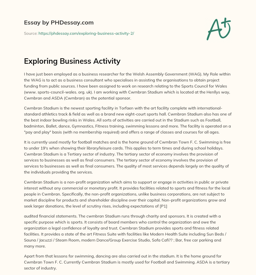 Exploring Business Activity essay