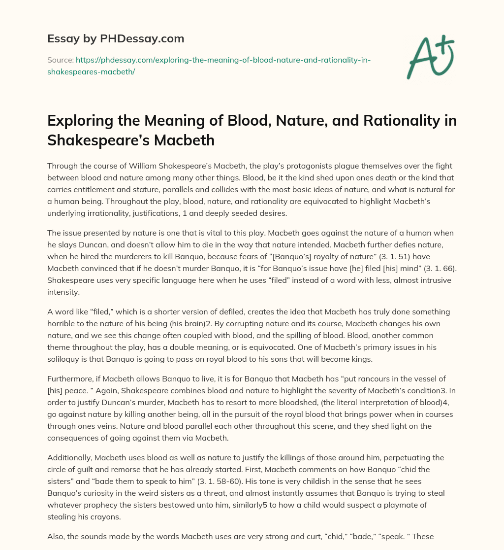 Exploring the Meaning of Blood, Nature, and Rationality in Shakespeare’s Macbeth essay