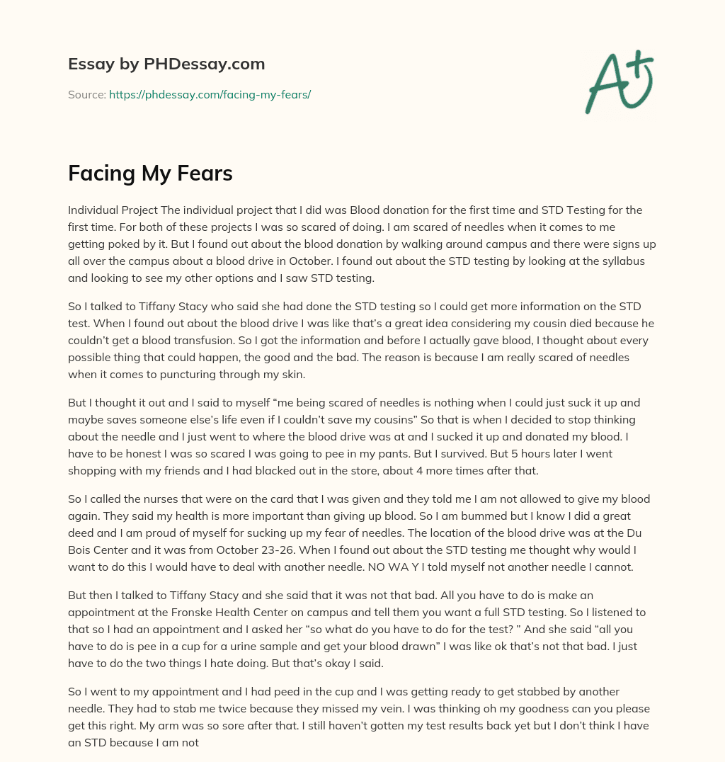 Facing My Fears essay