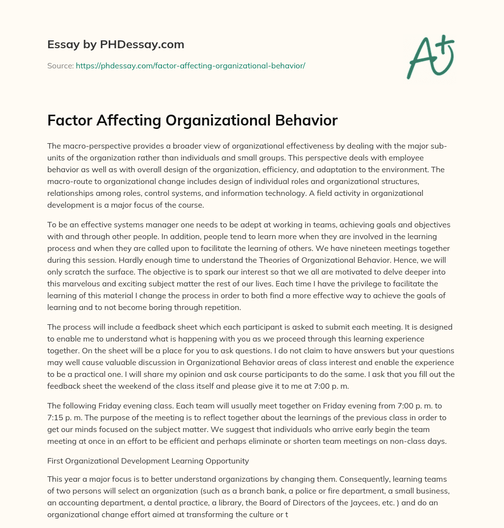 Factor Affecting Organizational Behavior essay
