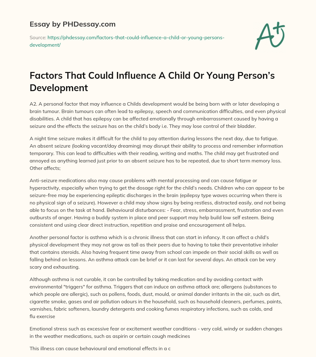 Factors That Could Influence A Child Or Young Person’s Development essay
