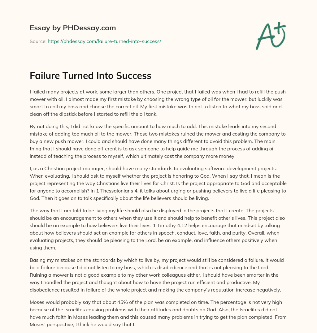 Failure Turned Into Success essay