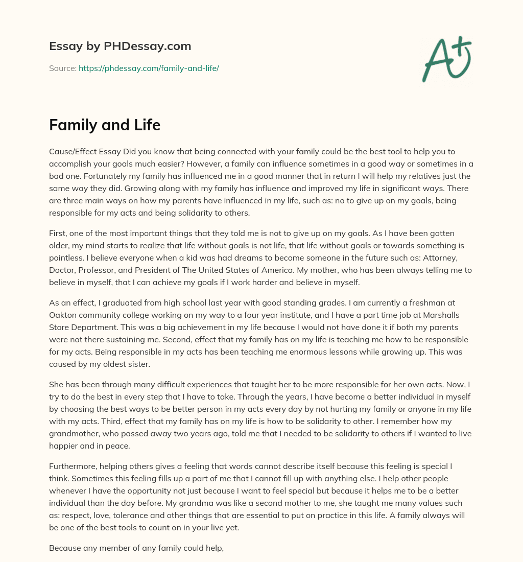Family and Life essay