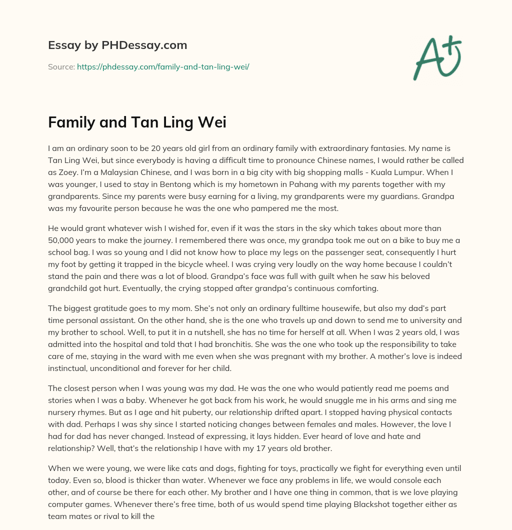 Family and Tan Ling Wei essay