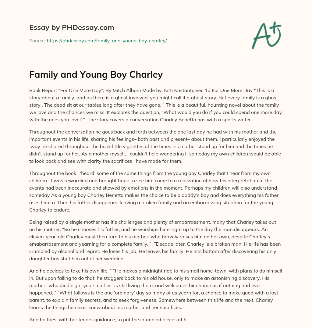 Family and Young Boy Charley essay