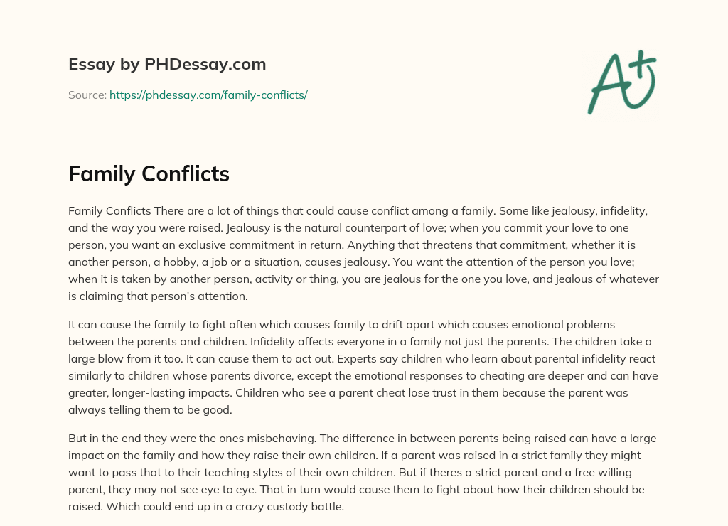 Family Conflicts essay
