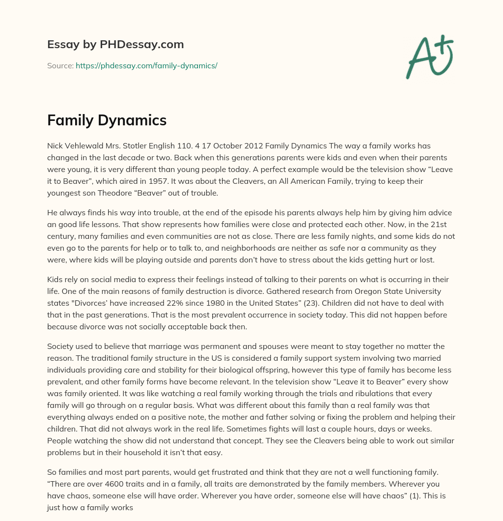 Family Dynamics Essay Example PHDessay