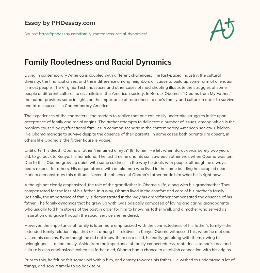 Family Rootedness and Racial Dynamics essay