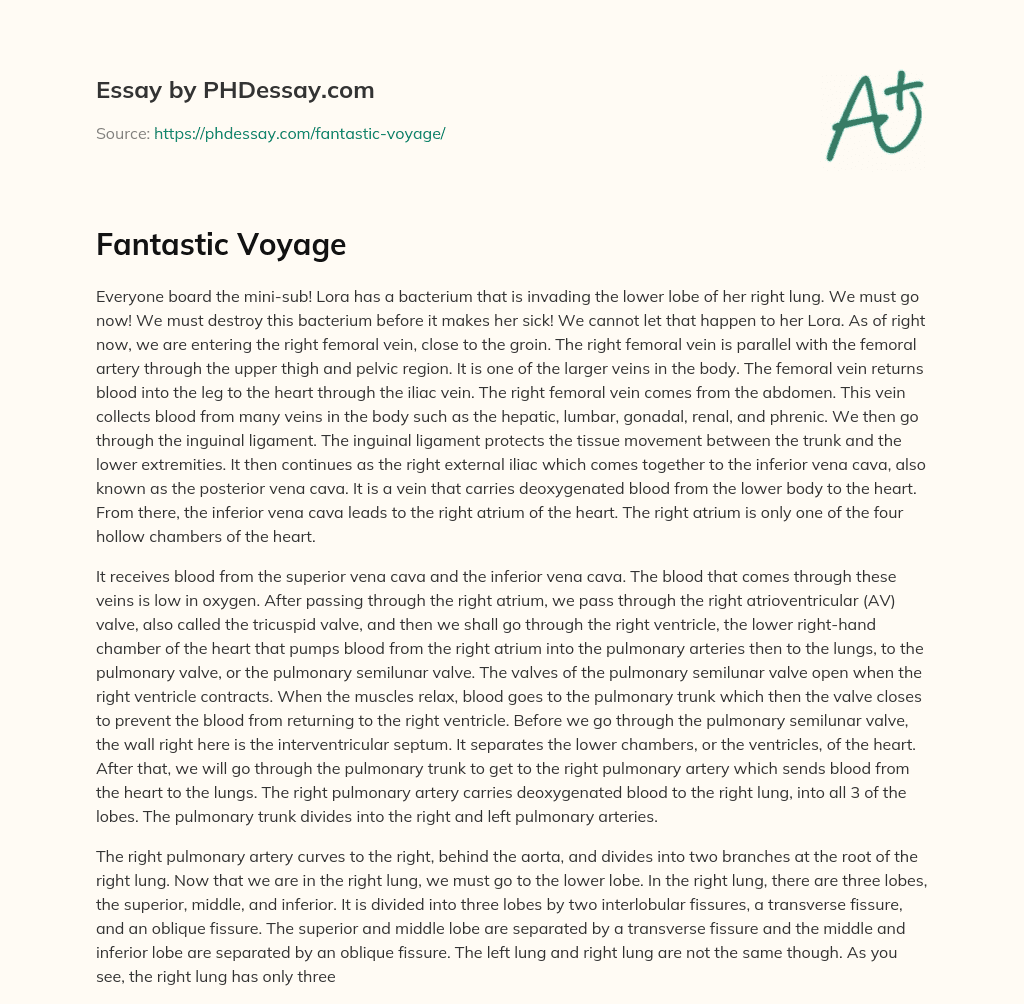 Fantastic Voyage essay