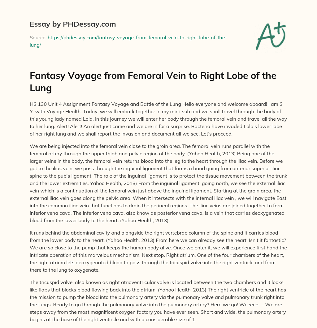 Fantasy Voyage from Femoral Vein to Right Lobe of the Lung essay